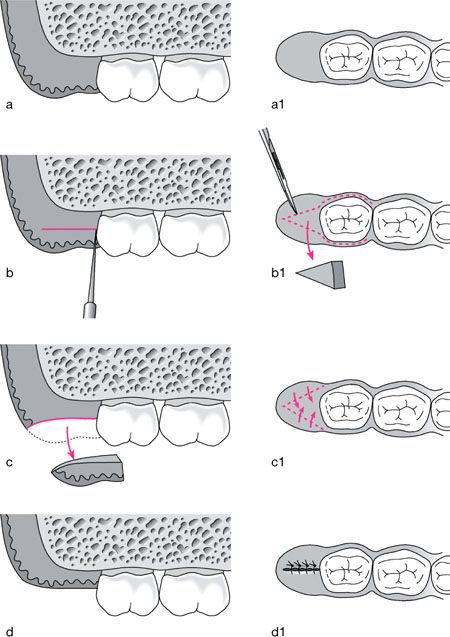 QE43-44_Chapple_fig110.jpg