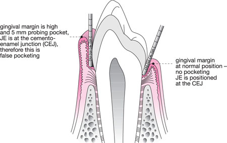 QE43-44_Chapple_fig111a.jpg