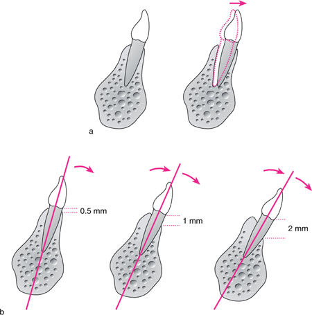 QE43-44_Chapple_fig165.jpg