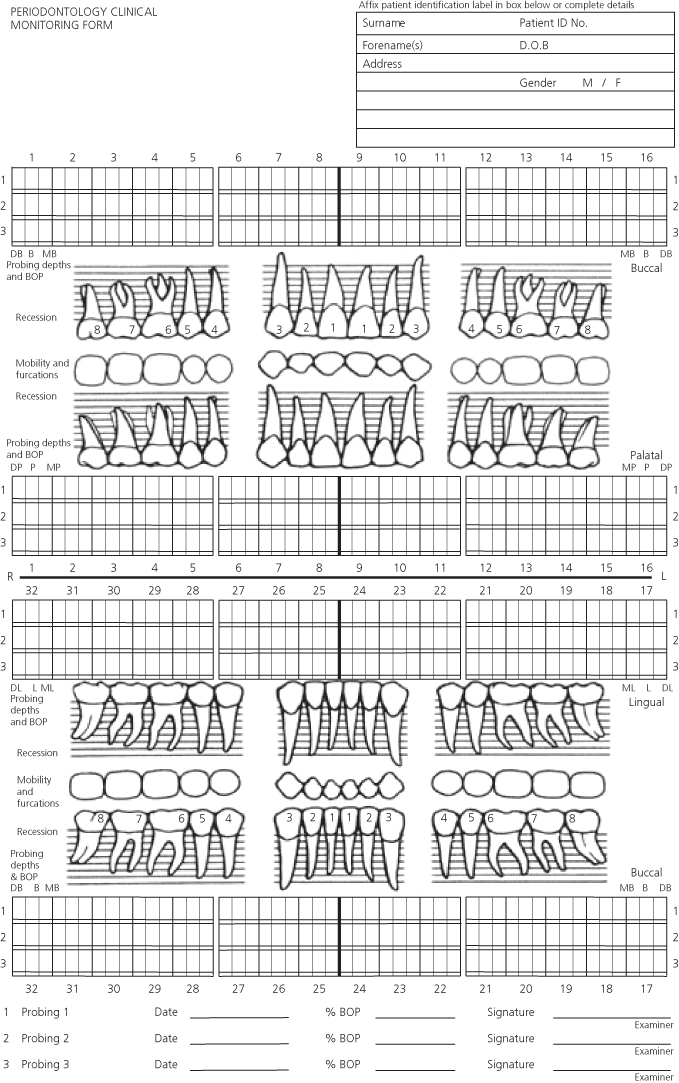 Dental Periodontal Chart