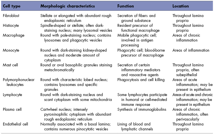 connective tissue types and functions