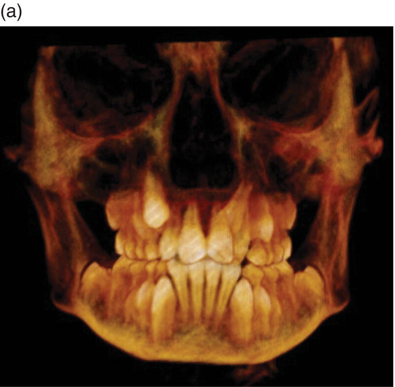 c7-fig-0002