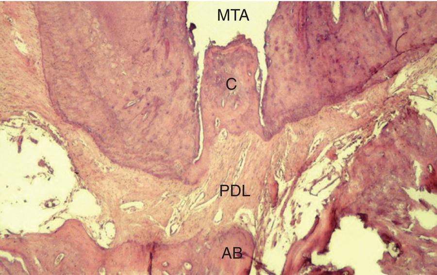 c8-fig-0002