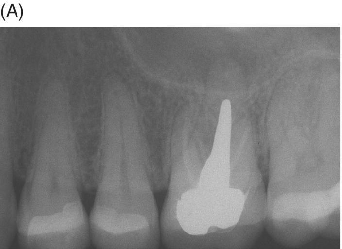 c8-fig-0003