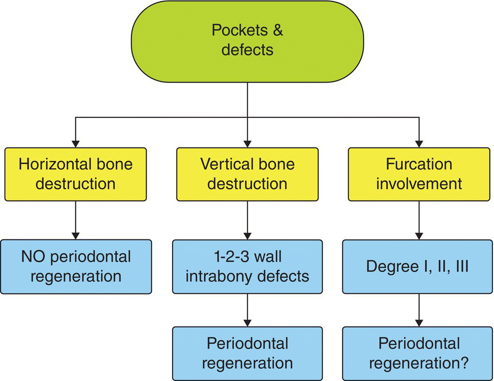 c8-fig-0010