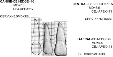 c10f002