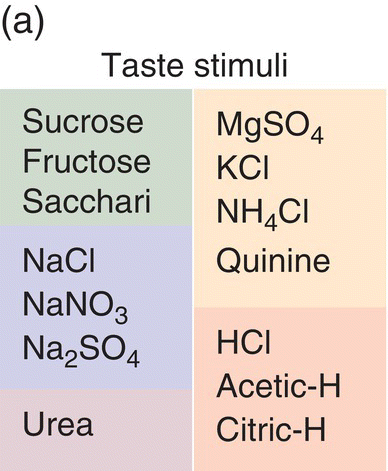 c10-fig-0003