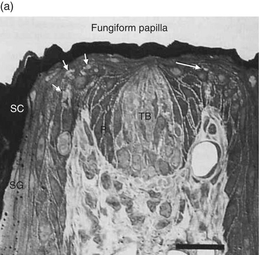 c10-fig-0005