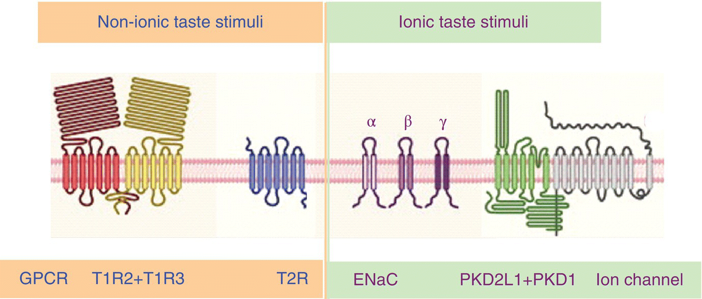 c10-fig-0006