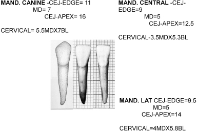 c10f006