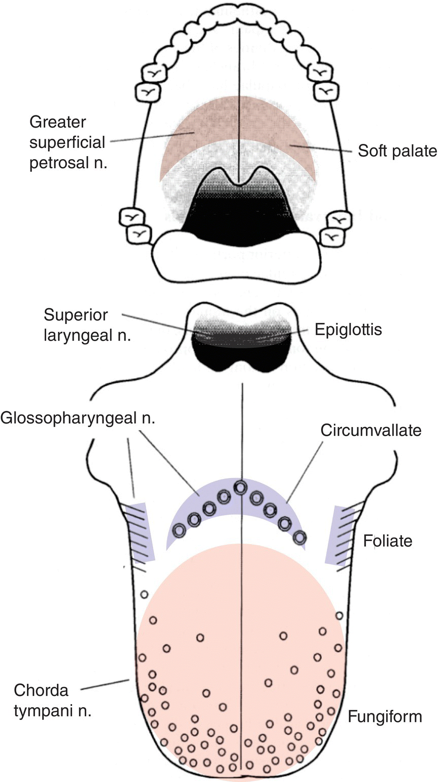 10 Chemoreception And Perception Pocket Dentistry