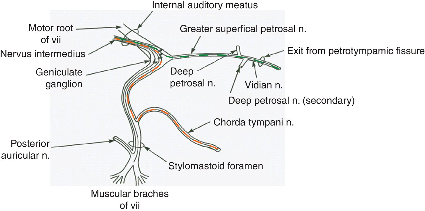 c10-fig-0008