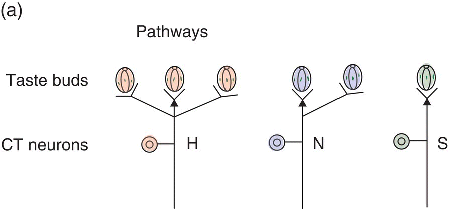 c10-fig-0009