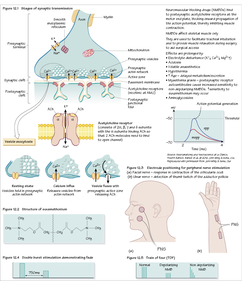 c12-fig-5001