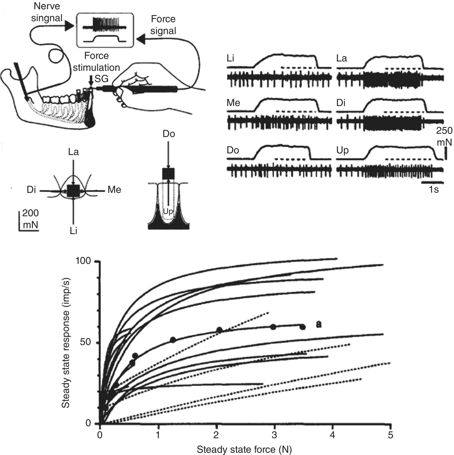 c12-fig-0001