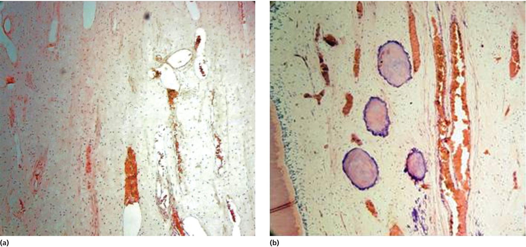 c12-fig-0002