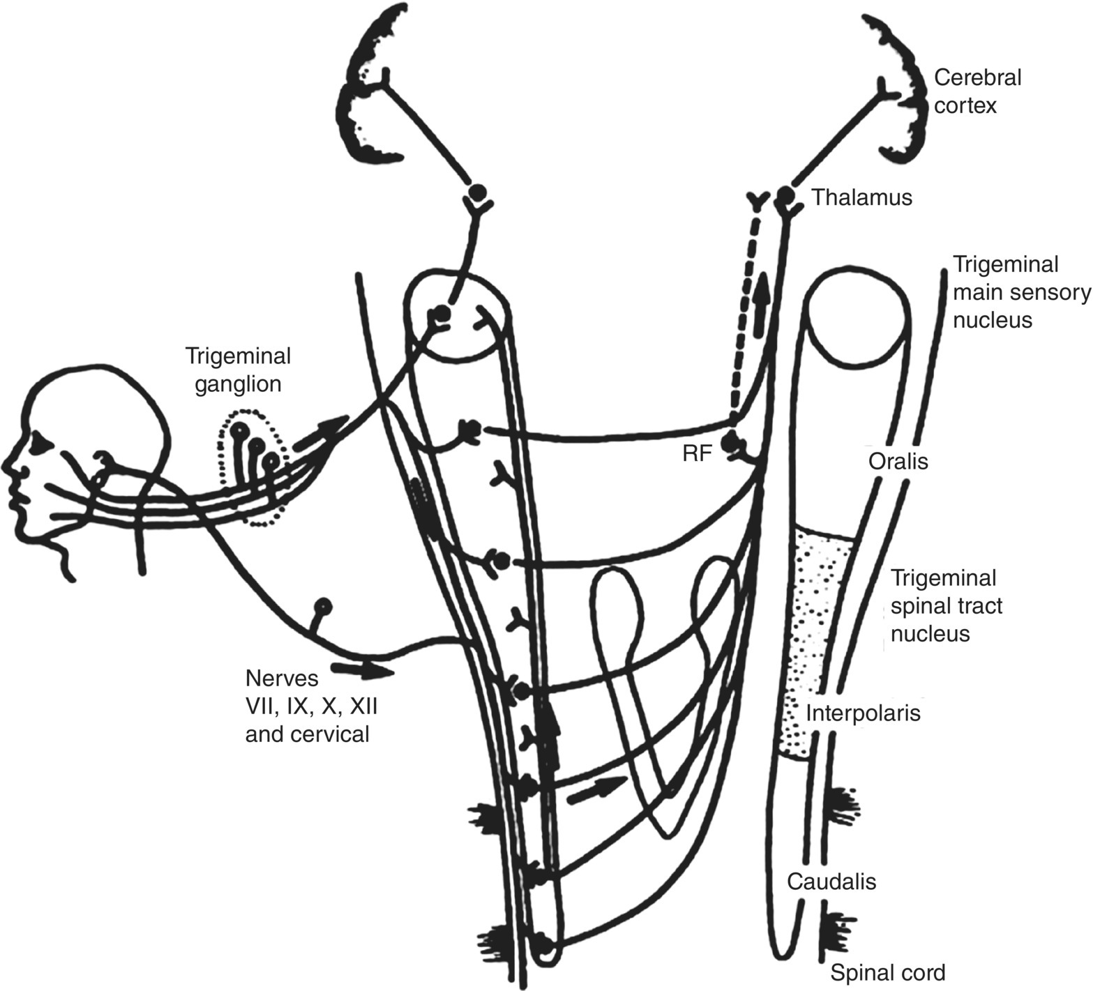 c12-fig-0003