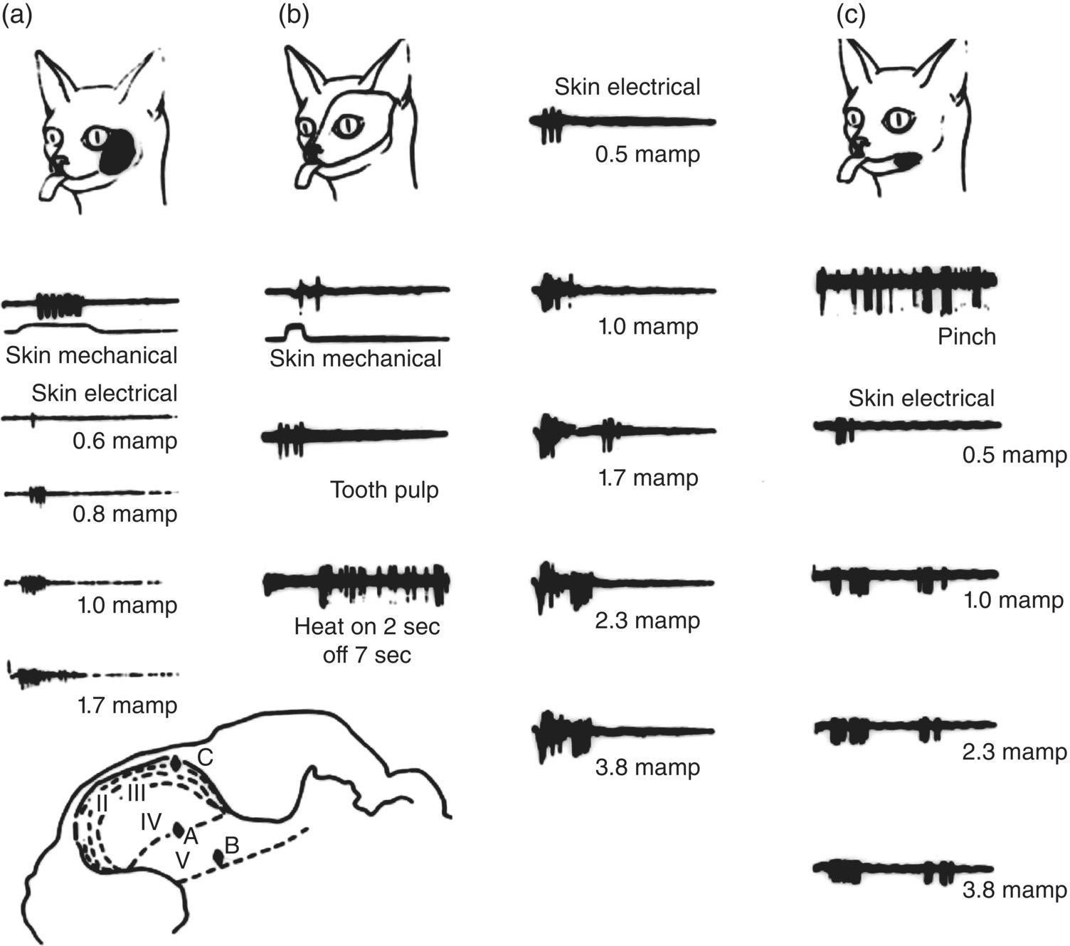 c12-fig-0004