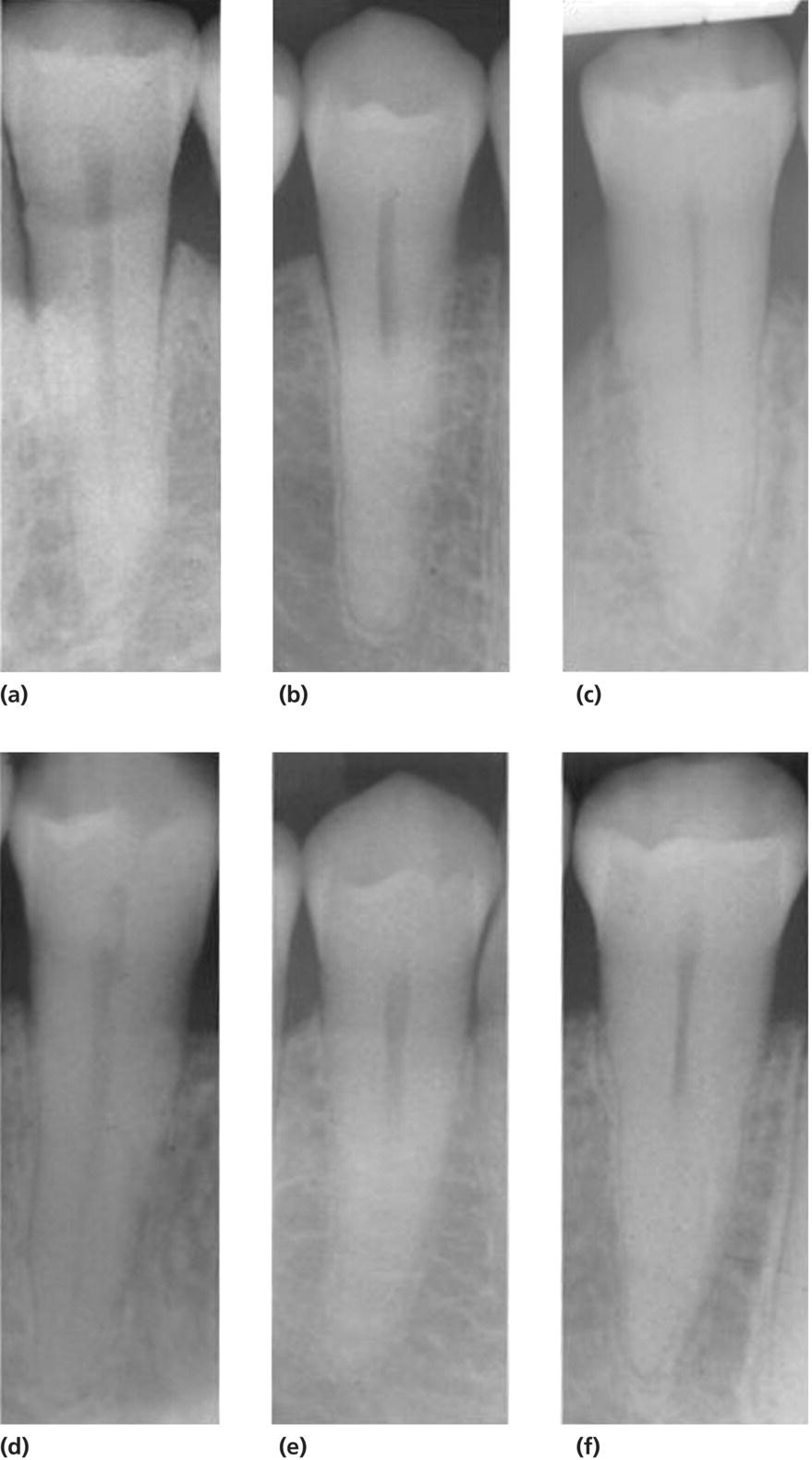 c12-fig-0004