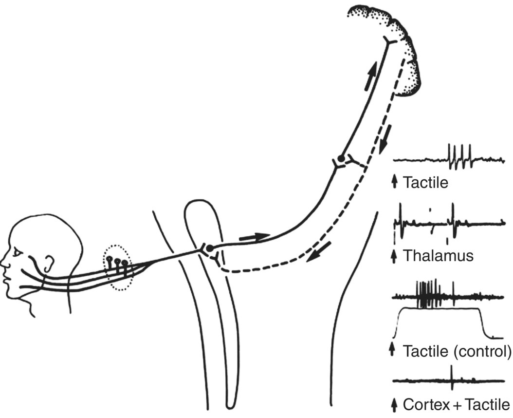 c12-fig-0005