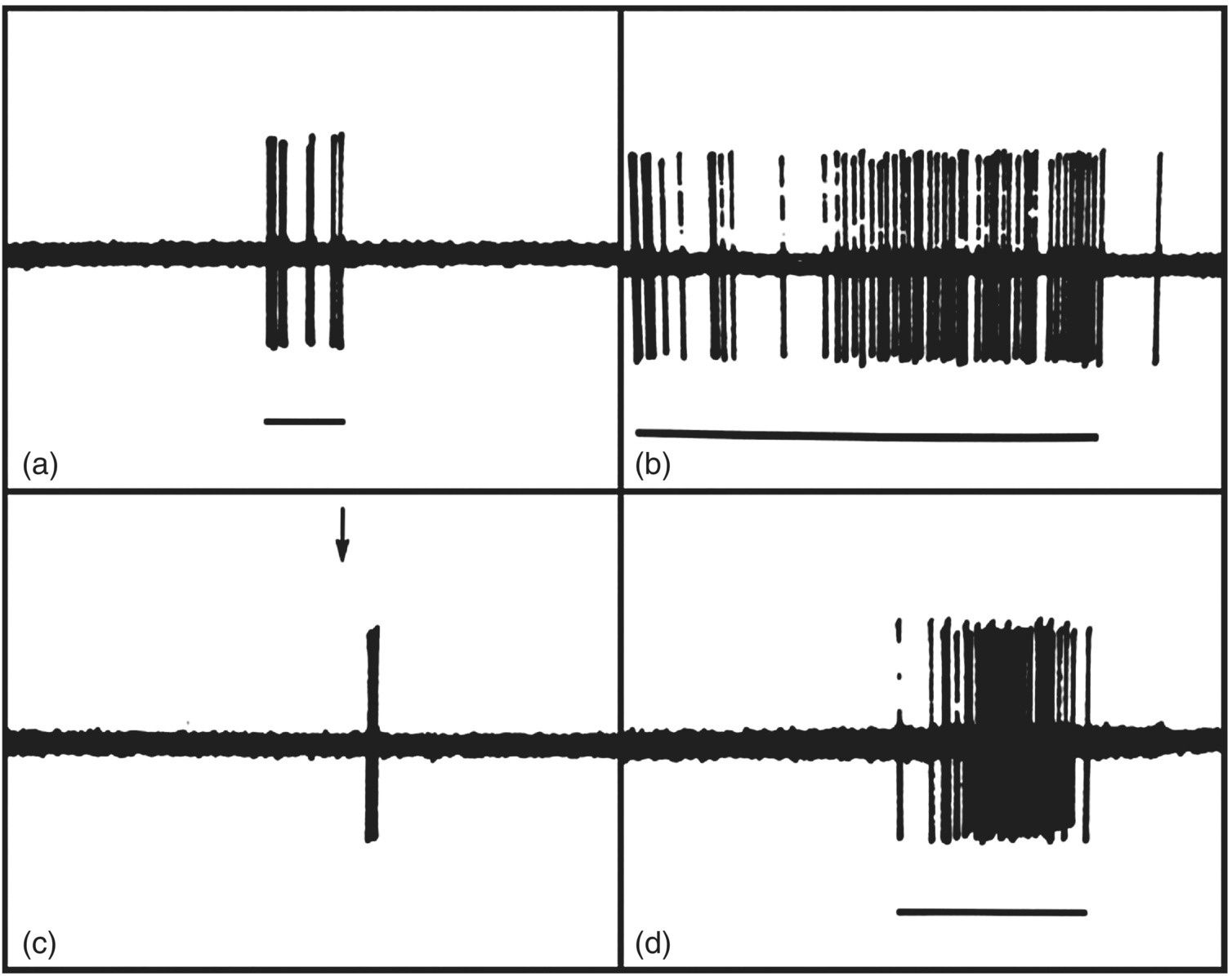 c12-fig-0006