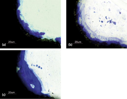 c14-fig-0010