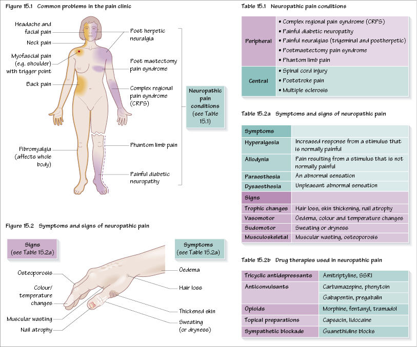 c15-fig-5001