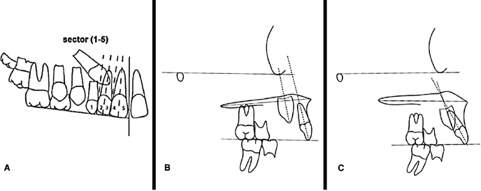 c16-fig-0003