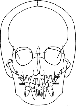 c17-fig-0002