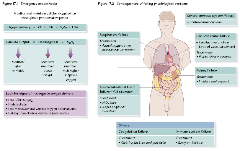 c17-fig-5001