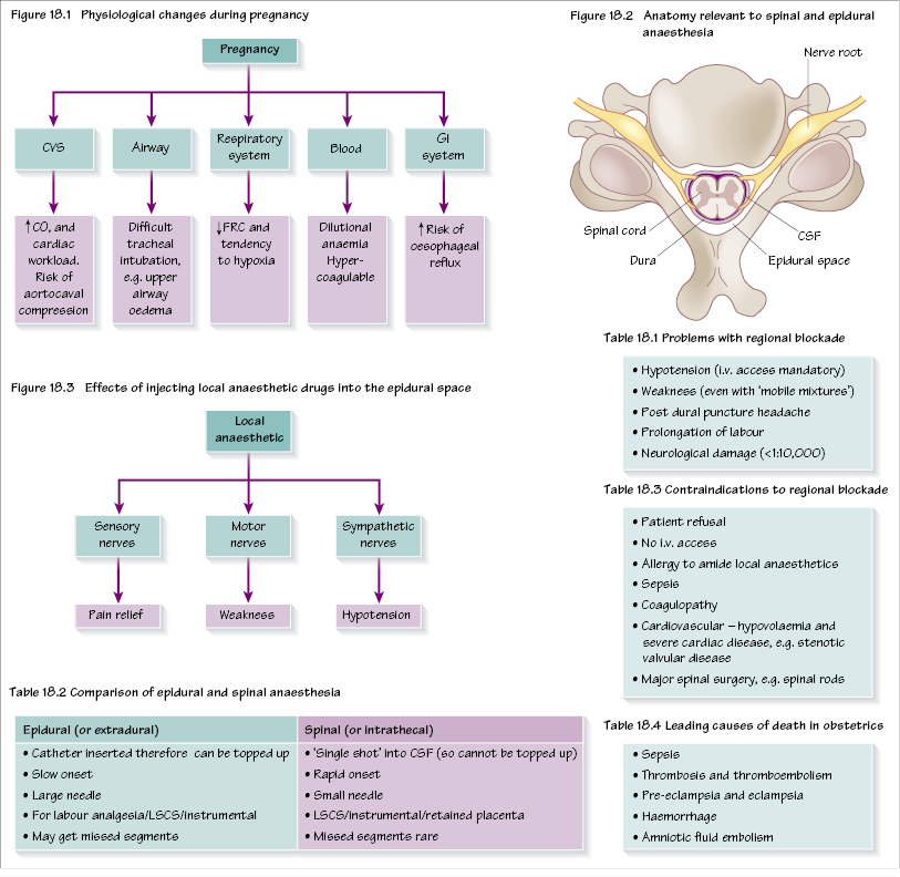 18: Obstetric anaesthesia | Pocket Dentistry