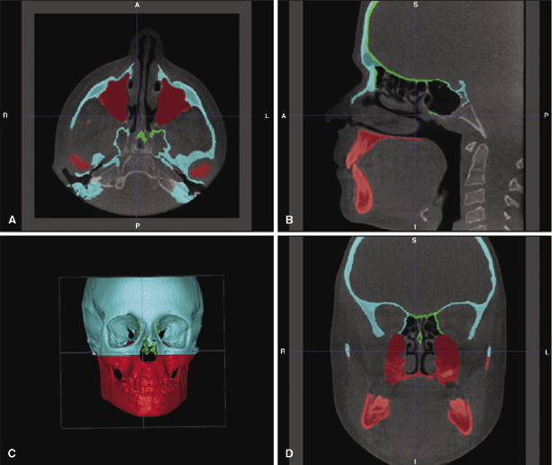 c19-fig-0002