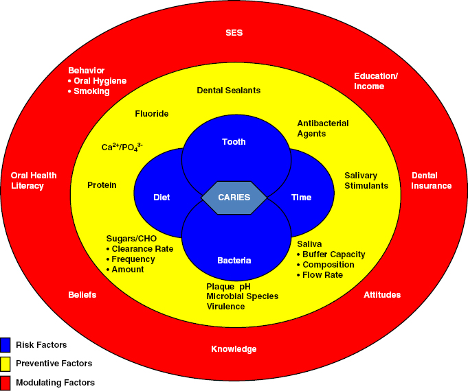 c20-fig-0001