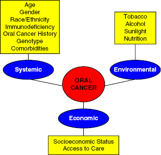 c20-fig-0003