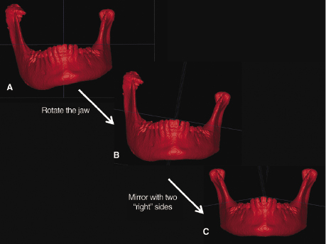 c20-fig-0006