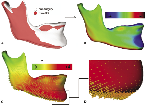 c22-fig-0003