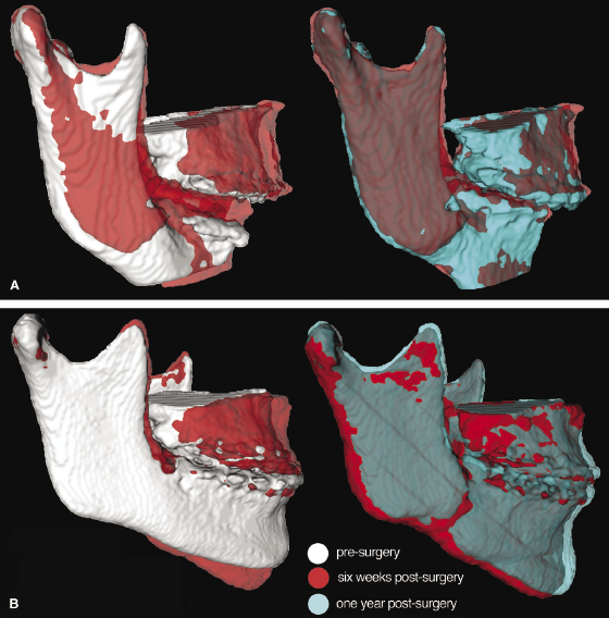 c22-fig-0004