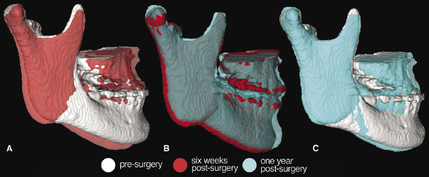 c22-fig-0006