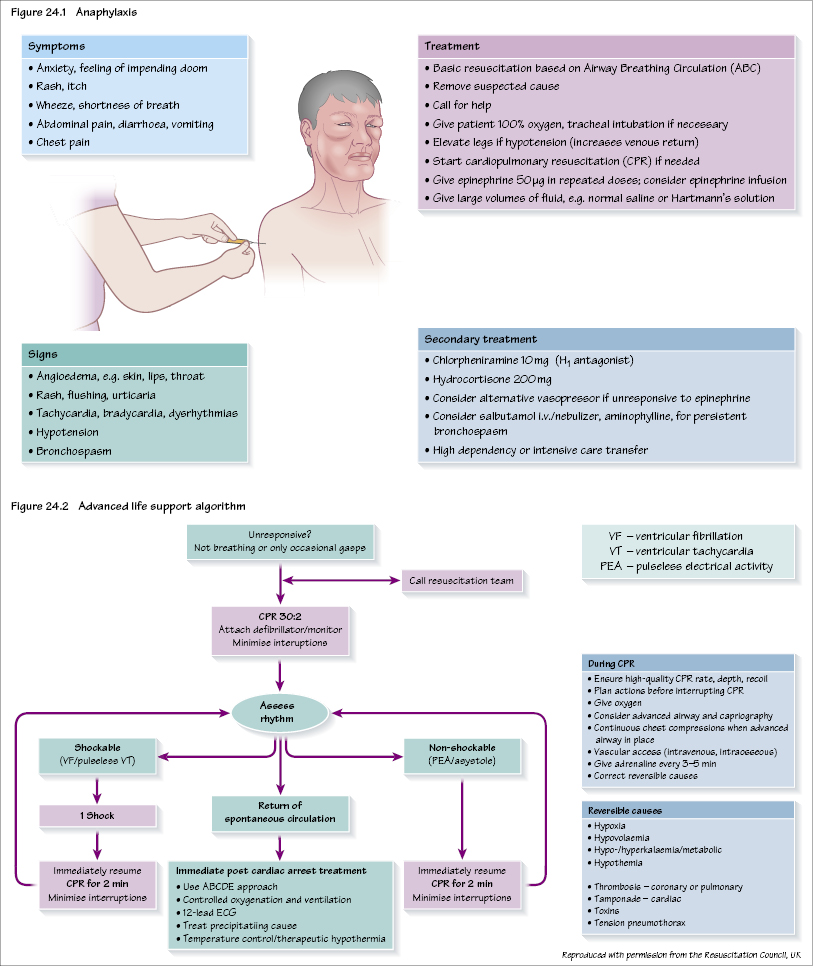 c24-fig-5001