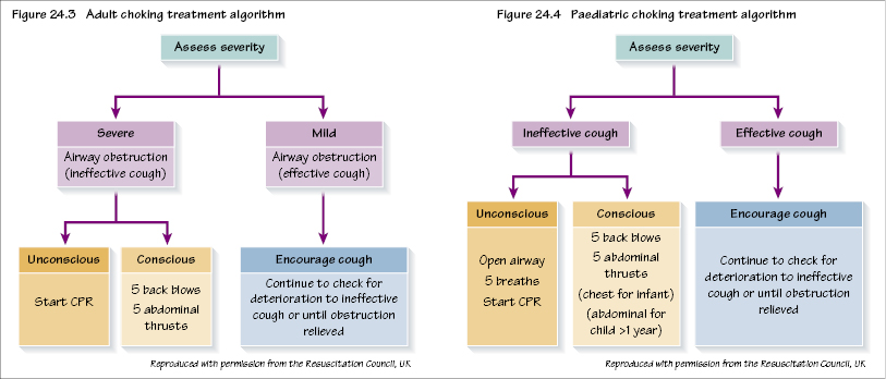 c24-fig-5002