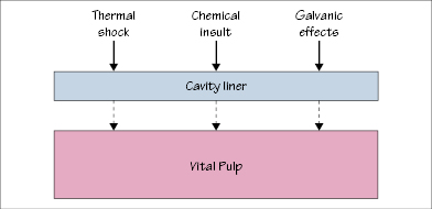 cavity liners and bases