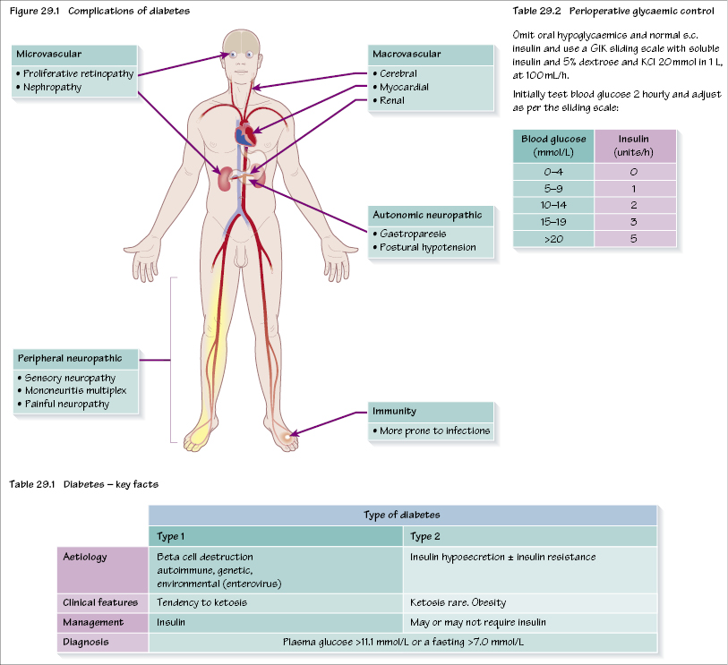 c29-fig-5001