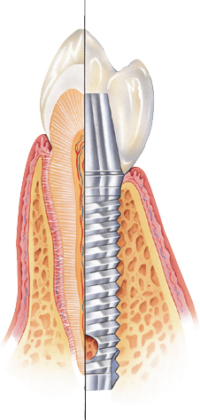 c3-fig-0001