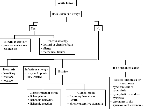 3 Oral Medicine: A Problem-Oriented Approach | Pocket Dentistry