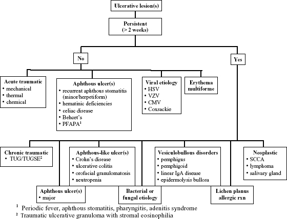 c3-fig-0003