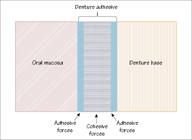 c30-fig-0002