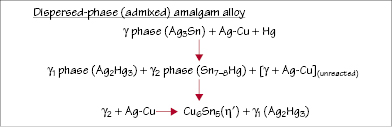 c31-fig-0002