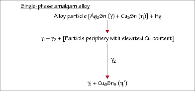 c31-fig-0003