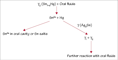 c31-fig-0005