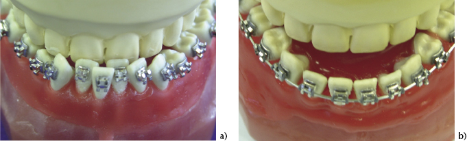 c4-fig-0001